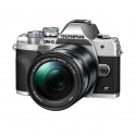 OLYMPUS E-M10 MARK IV + M.ZUIKO 14-150MM F4‐5.6 II OLYMPUS E-M10 MARK IV + M.ZUIKO 14-150MM F4‐5.6 II